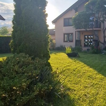 Celeste House Сибиу Экстерьер фото