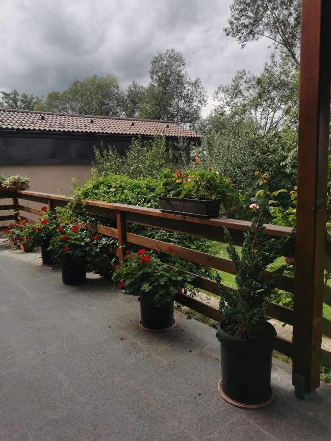 Celeste House Сибиу Экстерьер фото