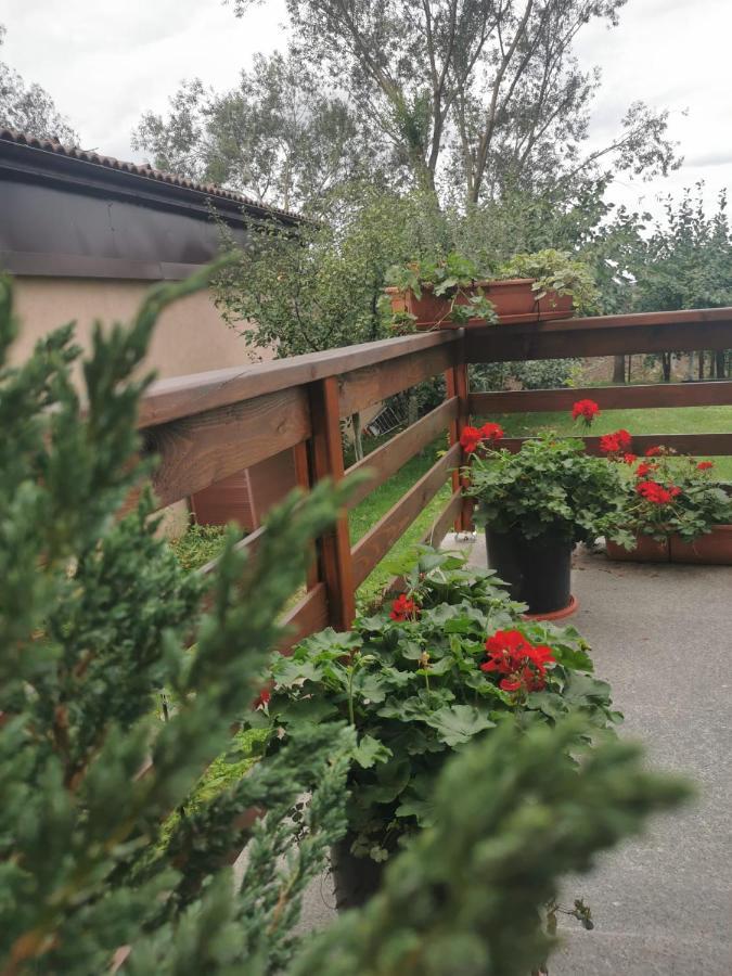 Celeste House Сибиу Экстерьер фото